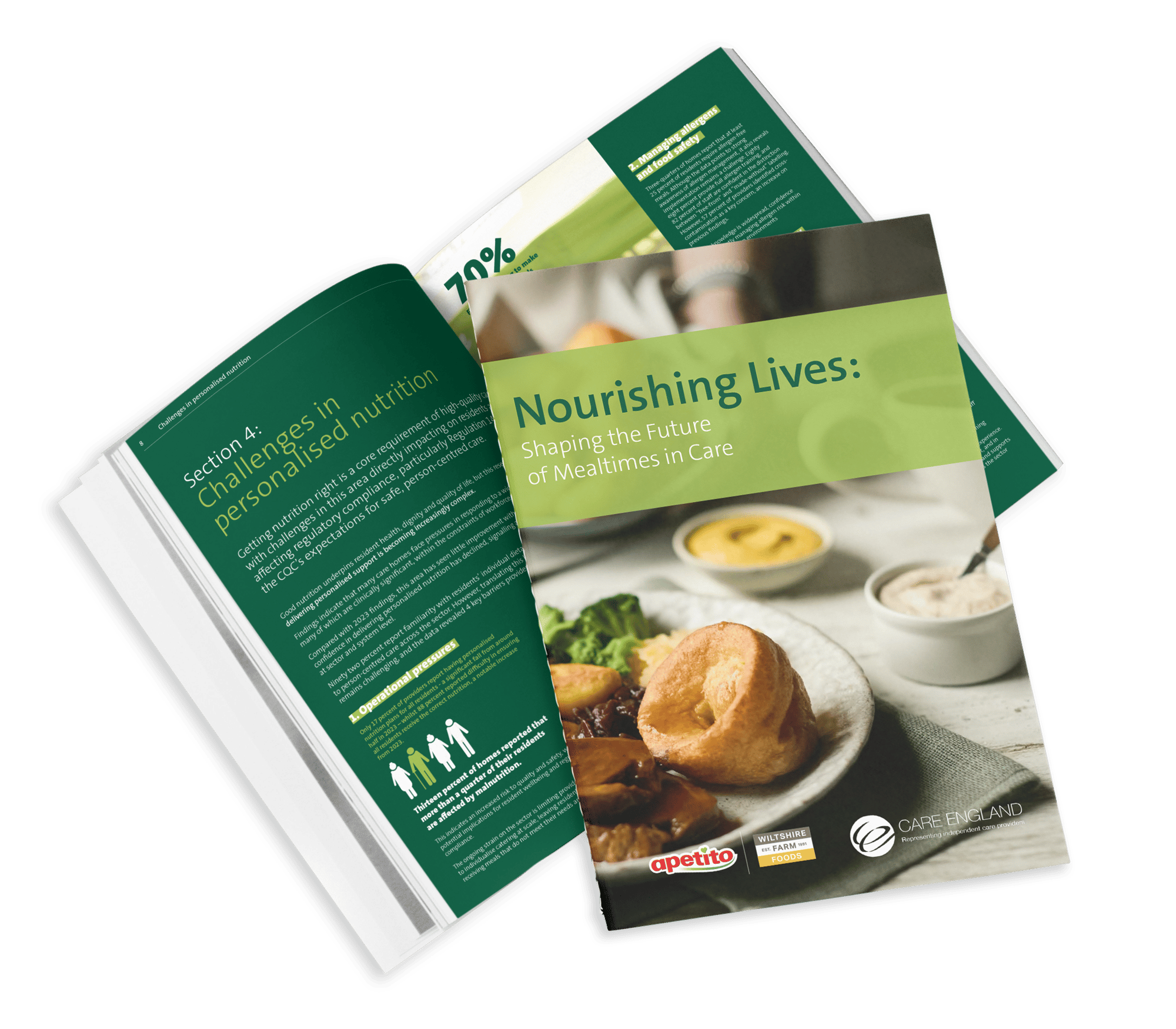Nourishing Lives Report