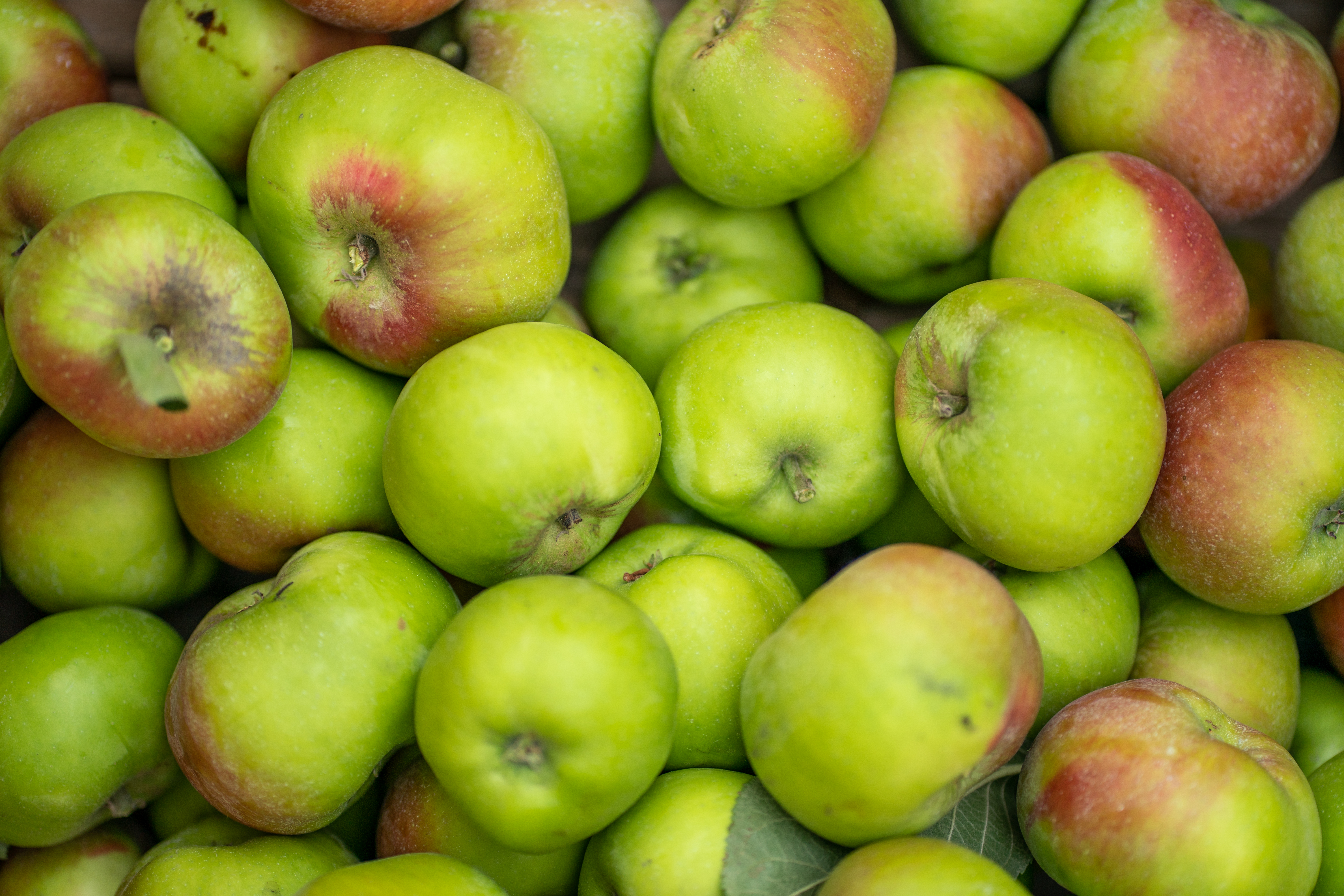 Supplier - Apples